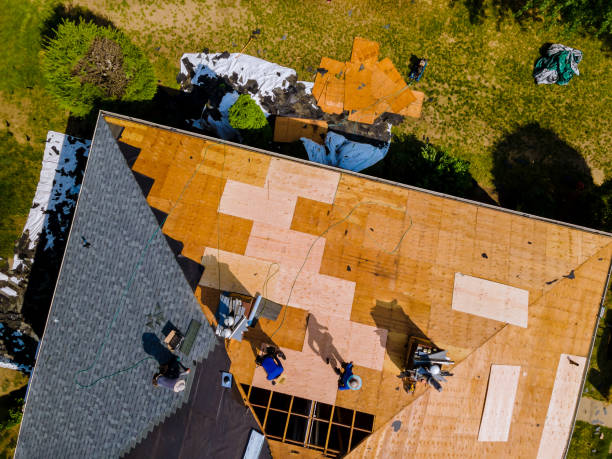 Best Roof Restoration Services  in Mcchord Af, WA
